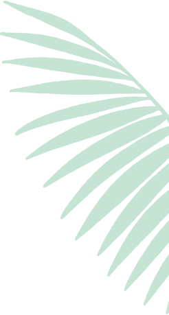 Manutenção de Jardins SP
