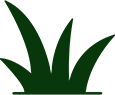 Manutenção de Jardins SP